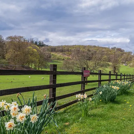At The Graythwaite Estate